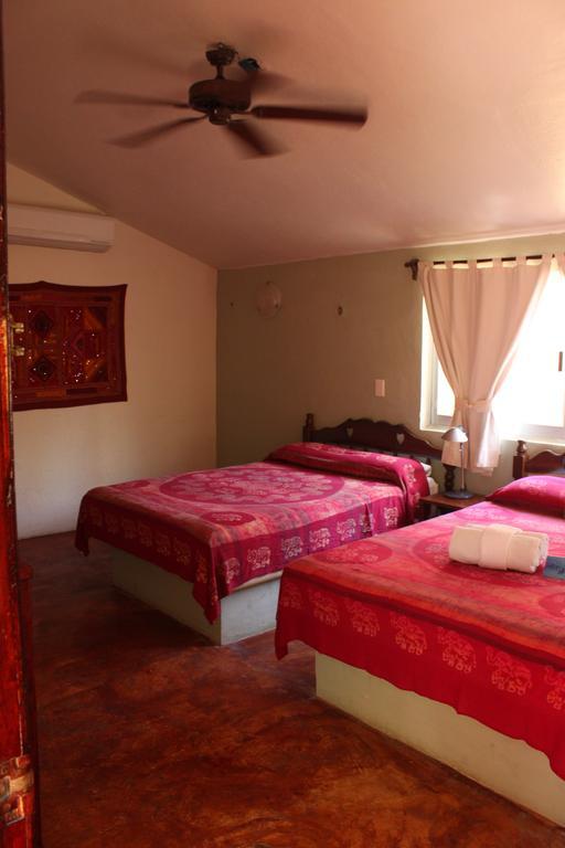 Fusion Beach Hotel Playa del Carmen Bilik gambar